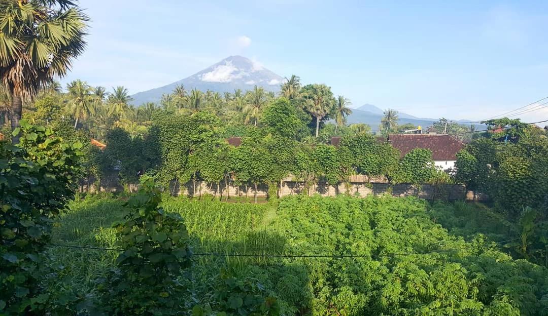 Black Sand Hostel Amed Exterior foto